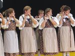2009_gundelifest_012.JPG 74.19 KB