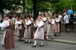 2010_gundelifest_010.JPG 79.6 KB