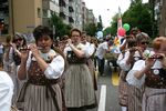 2010_gundelifest_026.JPG 73.3 KB
