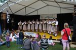 2011_gundelfest_026.JPG 73.99 KB
