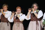 2011_gundelfest_033.JPG 61.68 KB
